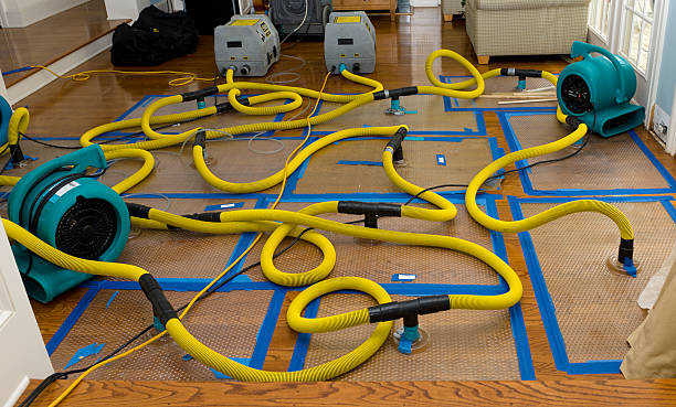 Professional Flood Damage Restoration technician working in Eden, NC