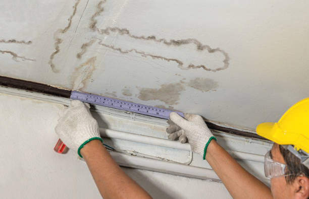 Affordable Water Damage Repair solutions in Eden, NC
